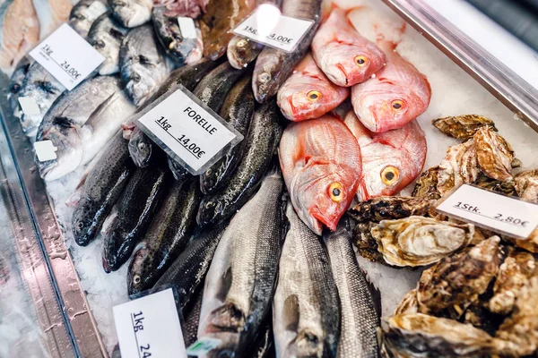 Vários peixes frescos e ostras no balcão da loja de alimentos do mar — Fotografia de Stock