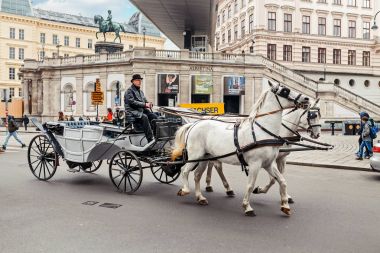 Viyana, Avusturya, 23 Mart 2017: bir taksi şoförü ile Viyana'da bir sokakta bir at