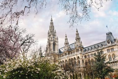 Gothic Simgesel Yapı Belediye kule bina Viyana veya Almanca: Wiener Rathaus adlı erken Bahar.