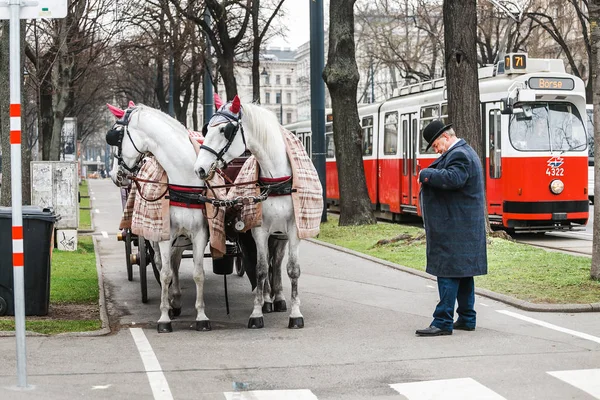 Wiedeń, Austria, 23 marca 2017: tradycyjne woźnica i dwóch białych utrzymane konie, o nazwie fiakrów, czeka na turystów w centralnej ulicy, Wiedeń, Austria. — Zdjęcie stockowe