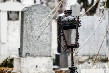 Merkezi Viyana mezarlığındaki mezar eski, yıkık ve büyümüş zafer anıtları