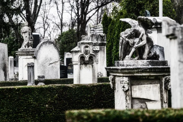 Vecchia Vienna Architettura cimiteriale austriaca con statue e lapidi in marmo per le tombe — Foto Stock