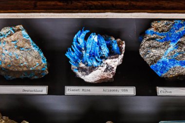 24 Mart 2017, Viyana, Doğal Tarih Müzesi, Avusturya: çeşitli koleksiyonları Müzesi'sergisinde mineral taş