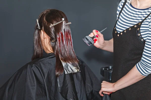 Profesyonel kuaför renk ustası müvekkili Güzellik Salonu saç boyama — Stok fotoğraf