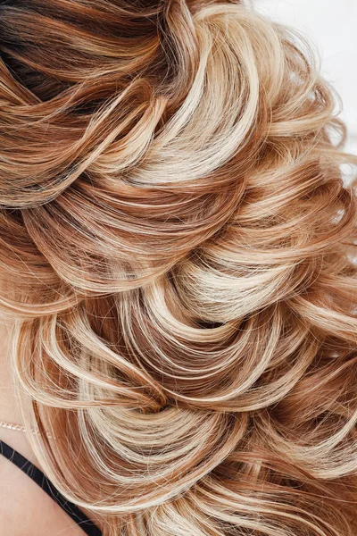 Close up detail of greek braid hairstyle, back rear view at hairdresser salon — Stock Photo, Image