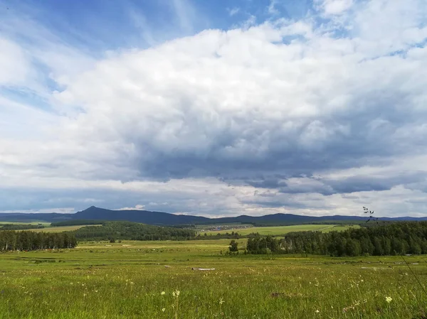 Сільський літній пейзаж з блакитним небом з хмарами . — стокове фото