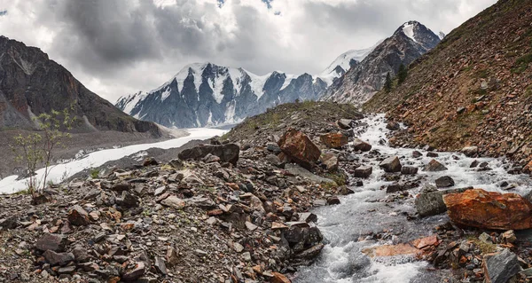 Vista panorámica de la larga lengua del glaciar Maashei en las montañas Altai — Foto de Stock