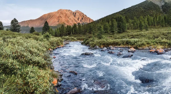 Altai río montañoso rodeado de montañas y bosque de taiga, vista panorámica — Foto de Stock
