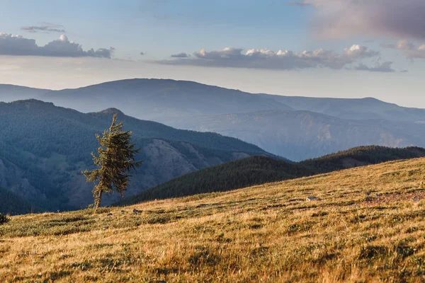 Paisagem montanhosa rochosa no outono — Fotografia de Stock