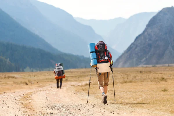 A természetjáró turisták séta az Altáj hegyi folyó völgyében csoport — Stock Fotó
