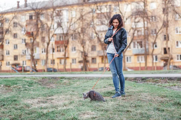 Красивая девушка идет с котом на поводке рядом с домом — стоковое фото