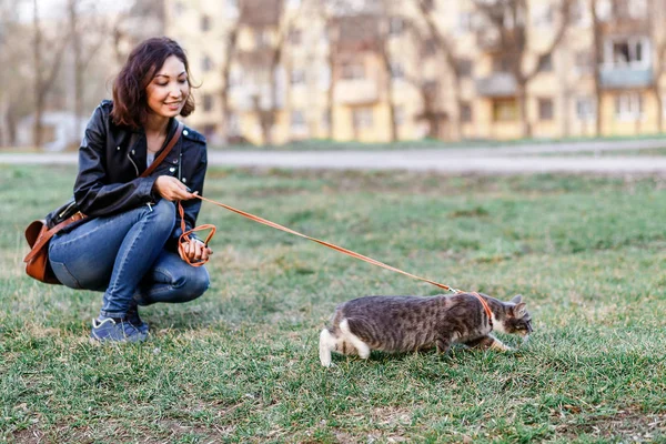 Güzel kız evin yanında bir leash üzerinde bir kedi ile yürüyüş