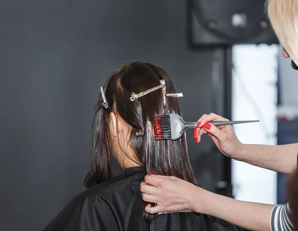 Maître coiffeur produit la teinture des cheveux à la femme du client — Photo