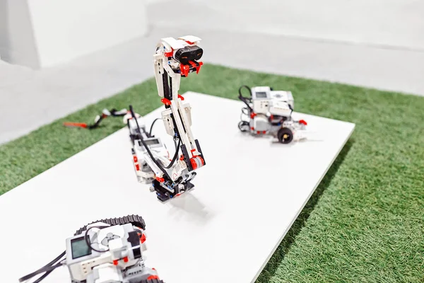 Bir uzaktan kumanda yılan robot Kit blok bina yapılmış