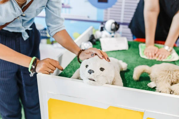 Vrouw spelen met therapeutische robotic schattig huisdier speeltje voor mensen met een handicap — Stockfoto