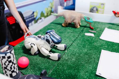 Ultra Alışveriş Merkezi, Ufa, Rusya, 21 Ağustos, 2017: Robot köpek, exhibitoin