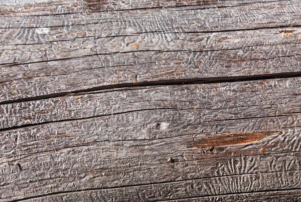 Alte getrocknete Holz Textur Hintergrund. — Stockfoto