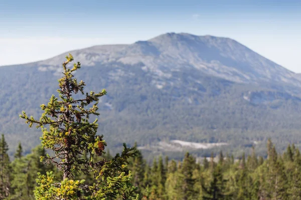 Ural montañas paisaje panorama cerca del parque nacional de Iremel — Foto de Stock