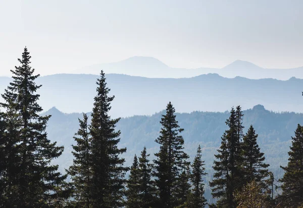 遠くの森に覆われた霧山丘の風景します。 — ストック写真