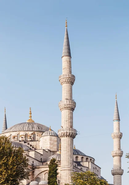 Foto vertical de mezquita con minaretes — Foto de Stock