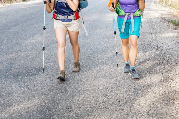 Closeup view of legs of trekking group of hikers walking together outdoors on a trail — Stock Photo, Image