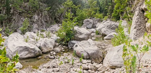 克峡谷内的夏季, 位于安塔利亚省, 土耳其 — 图库照片