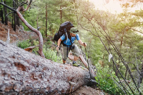 Concepto de aventura y senderismo - hombre con mochila de viaje en el bosque — Foto de Stock