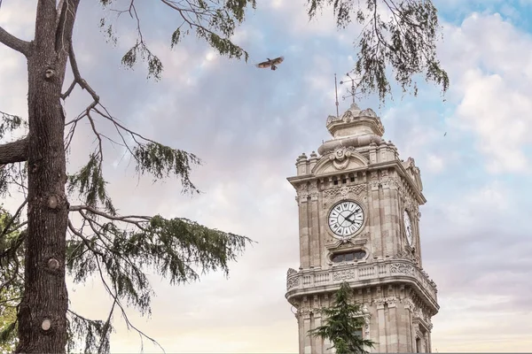Uhrturm in der Nähe des Dolmabahce-Palastes — Stockfoto