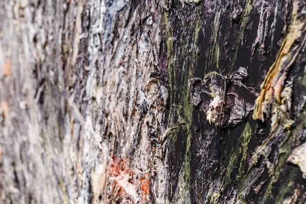 Close-up van penseelstreken te wijzigen — Stockfoto