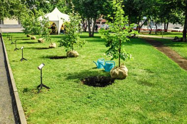 Şehir parkında fidan dikmeye hazır, bölgenin peyzaj konsepti.