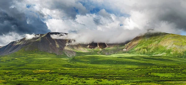 Un paysage Altaï classique avec des montagnes rocheuses enneigées et de vastes pâturages avec de l'herbe luxuriante — Photo