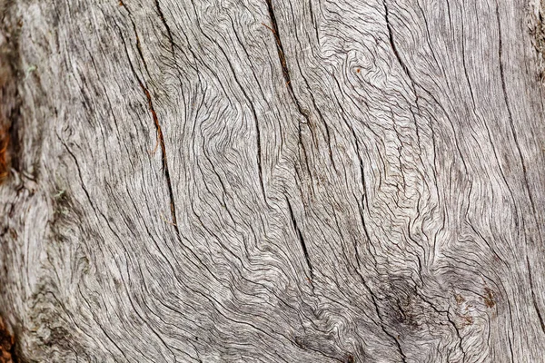 Vieille texture de bois avec des fissures et des torsions — Photo