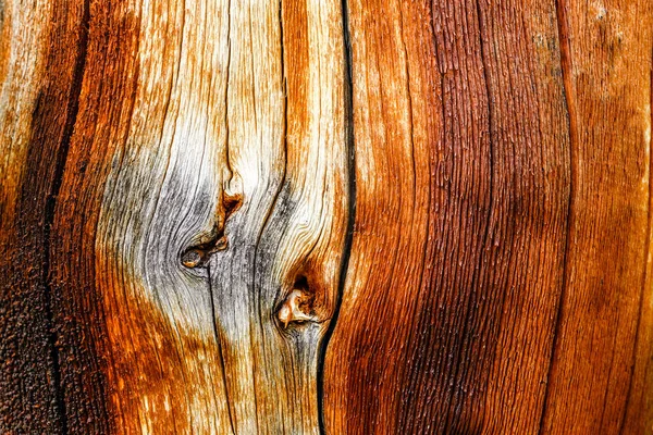 Textura de madeira velha com rachaduras e torções — Fotografia de Stock