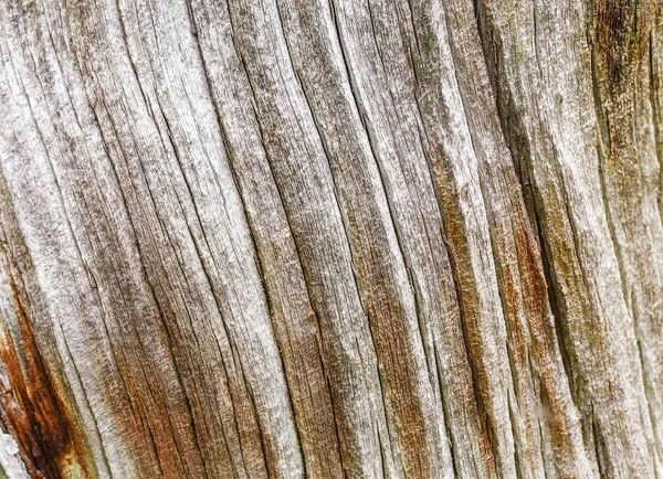 Alte Holzstruktur mit Rissen und Verdrehungen — Stockfoto