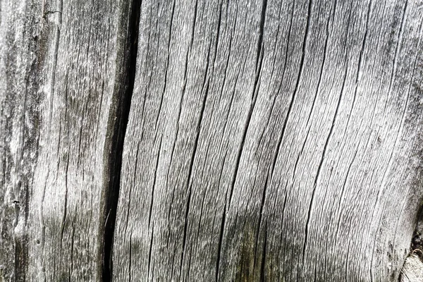 Textura de madeira velha com rachaduras e torções — Fotografia de Stock