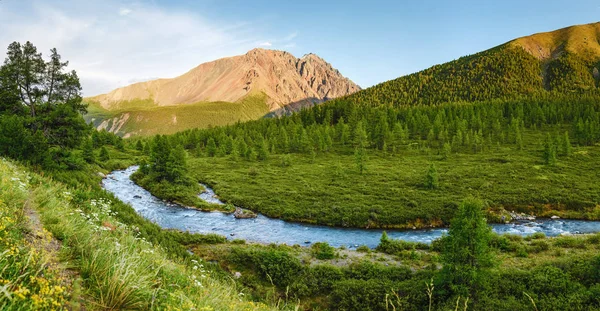 Hermosa vista del río de montaña en verano en las montañas de Altai, Siberia — Foto de Stock