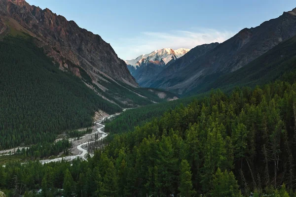 Hermosa vista del río de montaña en verano en las montañas de Altai, Siberia — Foto de Stock