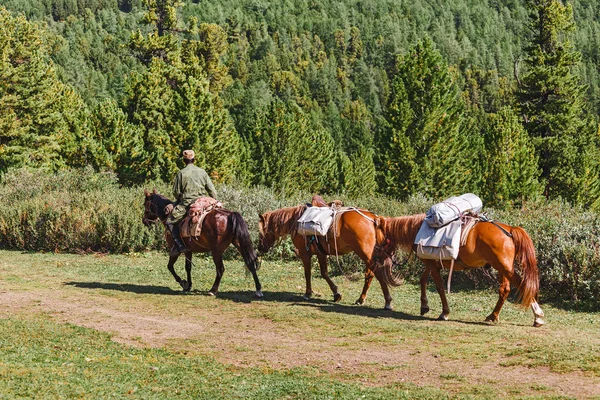 stock image A rider on horseback with a caravan carries tourist equipment for an expedition in the mountains