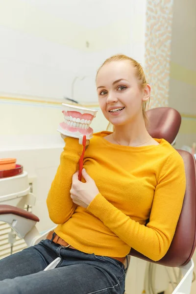 Giovane donna con modello di mascella dentale in clinica di stomatologia — Foto Stock