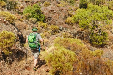 Yalnız backpacker adam yola dağ izi tarafından