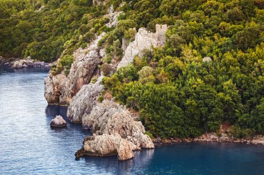 Orman turquiose denizde ile kayalık uçurum