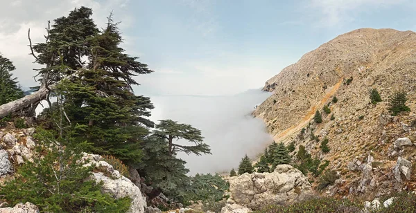 Vista en la montaña Tahtali cerca del mar Mediterráneo en Turquía —  Fotos de Stock