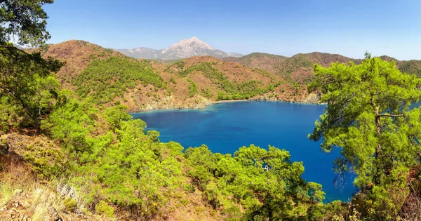 Akdeniz peacefull limanda
