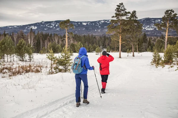 Dois caminhantes caminhando na floresta de inverno de volta para a câmera — Fotografia de Stock