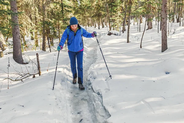 Mulher caminhante viajando com mochila e equipamento de trekking na floresta trilha de neve em montanhas, atividade de inverno e conceito de recreação — Fotografia de Stock