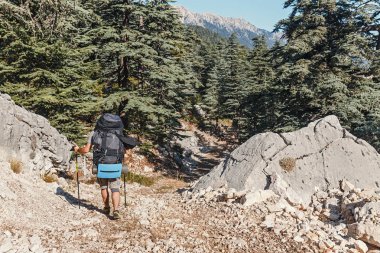 Grup, arkadaşlar üzerinde yürüme yolu, Likya Yolu Türkiye'de seyahat. Doğa ve eğlence kavramı