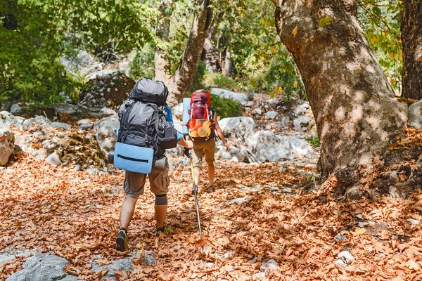 Grup de prieteni pe traseu de mers pe jos, care călătoresc în mod lycian în Turcia. Conceptul de natură și recreere — Fotografie, imagine de stoc