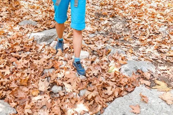 Patas femeninas en zapatillas de deporte en hojas de otoño — Foto de Stock