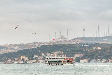 İstanbul Boğazı, Istanbul, Türkiye içinde yolcu gemisi ve feribot tekne