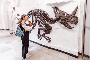 07 Ağustos 2019, Münih, Almanya: Münih 'teki Paleontoloji Müzesi' nde gergedanın antik atası olan dinozor seratoplarının fosilleşmiş iskeletine bakan kadın öğrenci